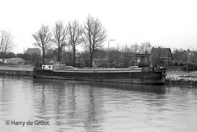 Limosa 06001249 (1).jpg (121.82 Kio) Vu 952 fois Limosa 06001249 (1).jpg