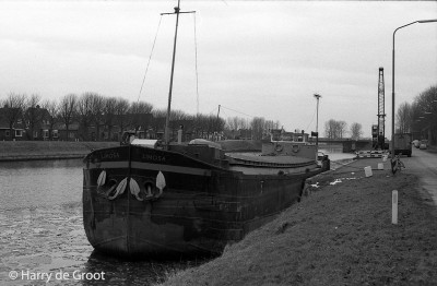 Limosa 06001249 (7).jpg (121.95 Kio) Vu 952 fois Limosa 06001249 (7).jpg