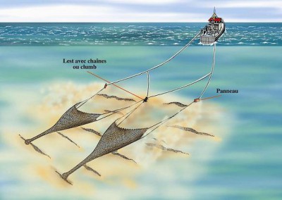 243chalutjumeau.jpg (55.29 Kio) Vu 5545 fois 243chalutjumeau.jpg