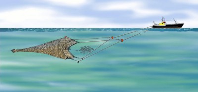 243chalutpelagique.jpg (24.56 Kio) Vu 5706 fois 243chalutpelagique.jpg