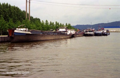 Corton 6003007 (1).jpg (125.46 Kio) Vu 2403 fois Corton 6003007 (1).jpg