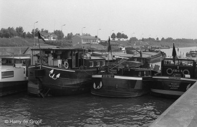 Marcella 06001378 (2).jpg (125.31 Kio) Vu 3449 fois Marcella 06001378 (2).jpg