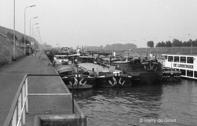 Marcella 06001378 (1).jpg (142.29 Kio) Vu 3449 fois Marcella 06001378 (1).jpg