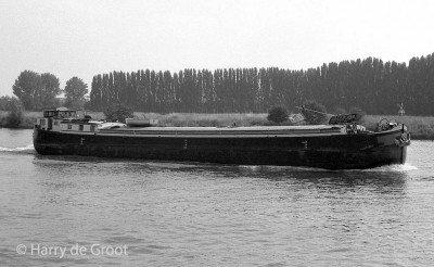 Aline II 01821565 (1).jpg