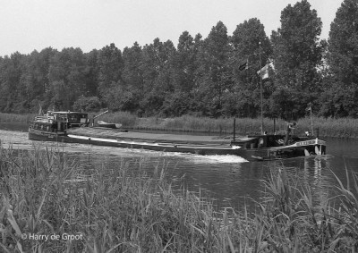 Amasus 02306004 (2).jpg (177.12 Kio) Vu 2071 fois Amasus 02306004 (2).jpg