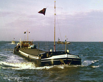 Animo III 2306004 02.jpg (80.63 Kio) Vu 2071 fois Animo III 2306004 02.jpg