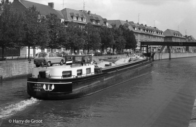 Antruso 02103911 (2).jpg (163.53 Kio) Vu 1595 fois Antruso 02103911 (2).jpg