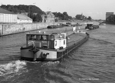 Arnica 06000683 (2).jpg (207.8 Kio) Vu 1205 fois Arnica 06000683 (2).jpg