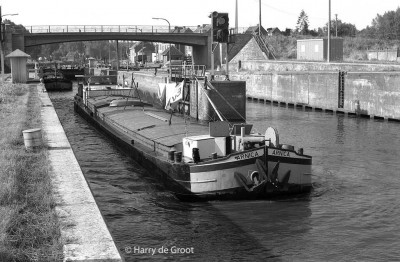 Arnica 06000683 (1a).jpg (163.26 Kio) Vu 1205 fois Arnica 06000683 (1a).jpg