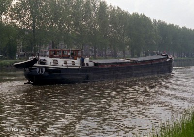Vita Nova 2307663 02.jpg