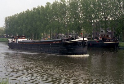 Vita Nova 2307663 01.jpg