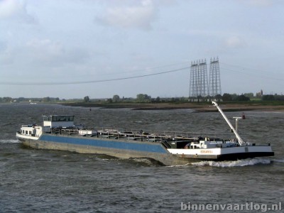 edelweiss-1-29-10-2006.jpg (123.63 Kio) Vu 1598 fois edelweiss-1-29-10-2006.jpg