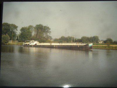 H1856Bruxelles Kiki 46 m.JPG