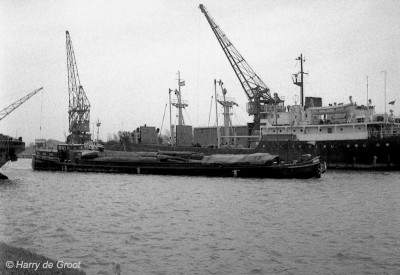 Andante 2306114 01.jpg (95.68 Kio) Vu 1374 fois Andante 2306114 01.jpg