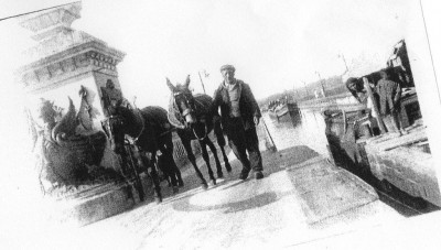 trimardeur (3).jpg (129.58 Kio) Vu 1011 fois trimardeur (3).jpg