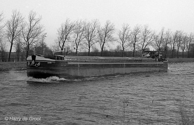 Doma P12657F (1).jpg