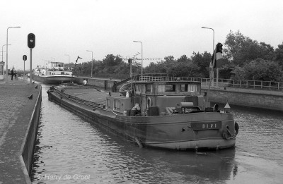 Divi 06000752 (2).jpg