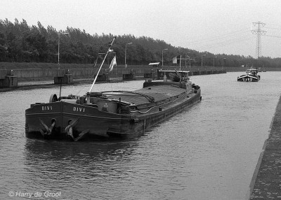 Divi 06000752 (1).jpg