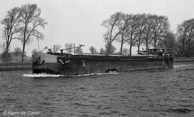 Eel 06001312 (1).jpg (197.57 Kio) Vu 2066 fois Eel 06001312 (1).jpg