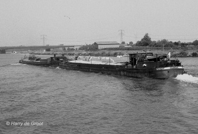 Egelantine P12432F (1).jpg (192.34 Kio) Vu 2902 fois Egelantine P12432F (1).jpg