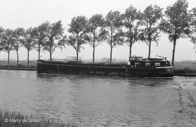 Erato 02315306 (2).jpg (218.57 Kio) Vu 5669 fois Erato 02315306 (2).jpg