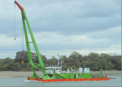 bigue Brotonne A. Guyomard.jpg