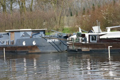 Flipper Bibifoc 06.JPG