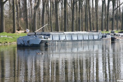Flipper Bibifoc 03.JPG