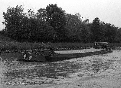 Gobi BR19955B (2).jpg (161.84 Kio) Vu 2629 fois Gobi BR19955B (2).jpg