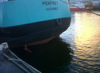 IMG-20121225-00219.jpg (177.27 Kio) Vu 1295 fois IMG-20121225-00219.jpg