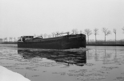 Hidalgo 06000540 (1).jpg