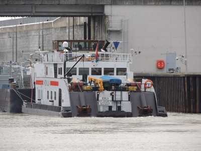 DSCN2643 (Copier).JPG (126.25 Kio) Vu 2270 fois DSCN2643 (Copier).JPG