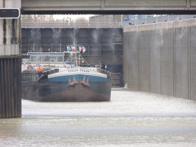 DSCN2644 (Copier).JPG (121.42 Kio) Vu 1758 fois DSCN2644 (Copier).JPG