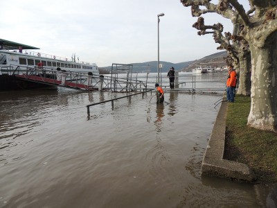 DSCN2203 (Copier).JPG (127.29 Kio) Vu 2725 fois DSCN2203 (Copier).JPG