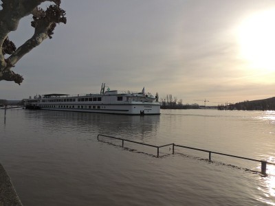 DSCN2204 (Copier).JPG (80.56 Kio) Vu 2725 fois DSCN2204 (Copier).JPG