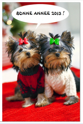 carte.PNG (959.35 Kio) Vu 6048 fois carte.PNG