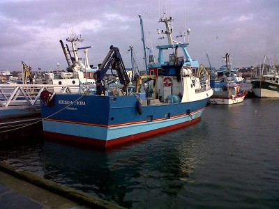 IMG-20121230-00293.jpg (212.97 Kio) Vu 1882 fois IMG-20121230-00293.jpg