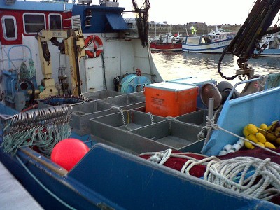 IMG-20121230-00295.jpg (249.29 Kio) Vu 1882 fois IMG-20121230-00295.jpg