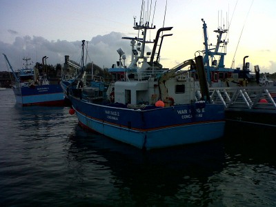 IMG-20121230-00302.jpg (174.01 Kio) Vu 4664 fois IMG-20121230-00302.jpg