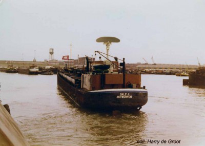 Salf 6 (2).jpg