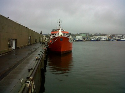 IMG-20121231-00309.jpg (157.58 Kio) Vu 3354 fois IMG-20121231-00309.jpg