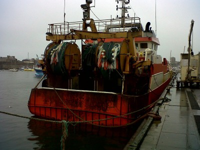 IMG-20121231-00316.jpg (197.23 Kio) Vu 3353 fois IMG-20121231-00316.jpg