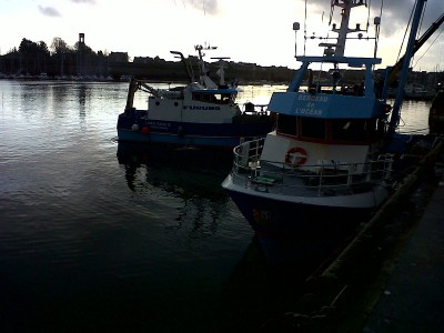 IMG-20130102-00322.jpg (152.39 Kio) Vu 4640 fois IMG-20130102-00322.jpg