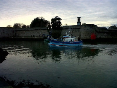 IMG-20130102-00332.jpg (179.57 Kio) Vu 4656 fois IMG-20130102-00332.jpg