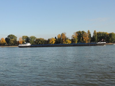 DSCN1634 (Copier).JPG (109.8 Kio) Vu 1380 fois DSCN1634 (Copier).JPG