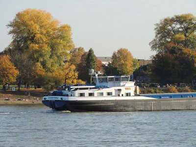 DSCN1635 (Copier).JPG (153.8 Kio) Vu 1381 fois DSCN1635 (Copier).JPG