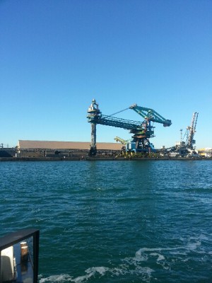 20121229_105701.jpeg (216.85 Kio) Vu 3012 fois 20121229_105701.jpeg