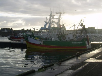 SSA41864.JPG (191.05 Kio) Vu 2027 fois SSA41864.JPG