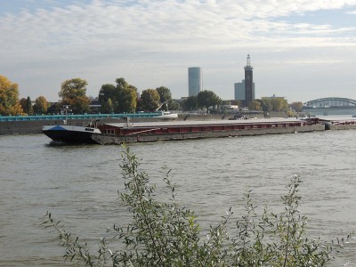 DSCN1604 (Copier).JPG (141.56 Kio) Vu 1401 fois DSCN1604 (Copier).JPG