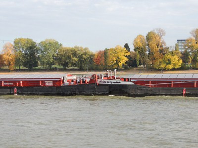 DSCN1608 (Copier).JPG (130.06 Kio) Vu 1401 fois DSCN1608 (Copier).JPG